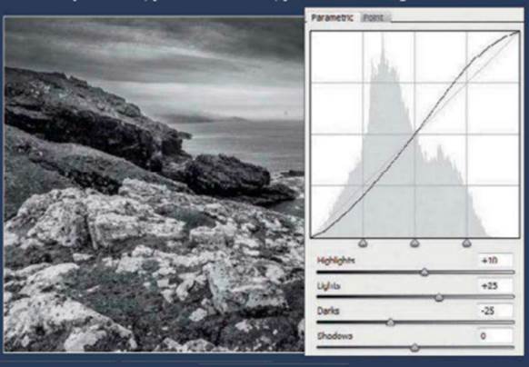 Make tone Curve Panel adjustments