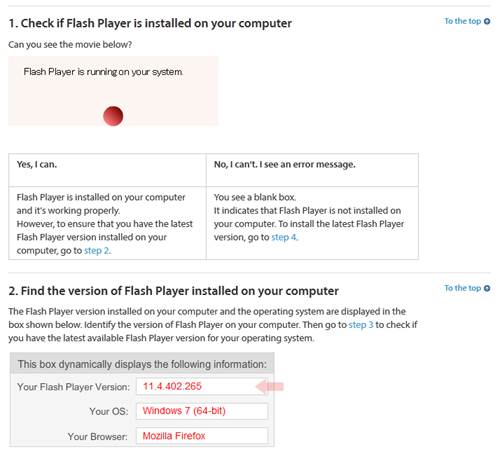 Check that Flash Player is working